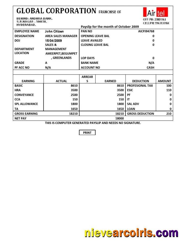 India AIRTEL multinational telecommunications services company payslip